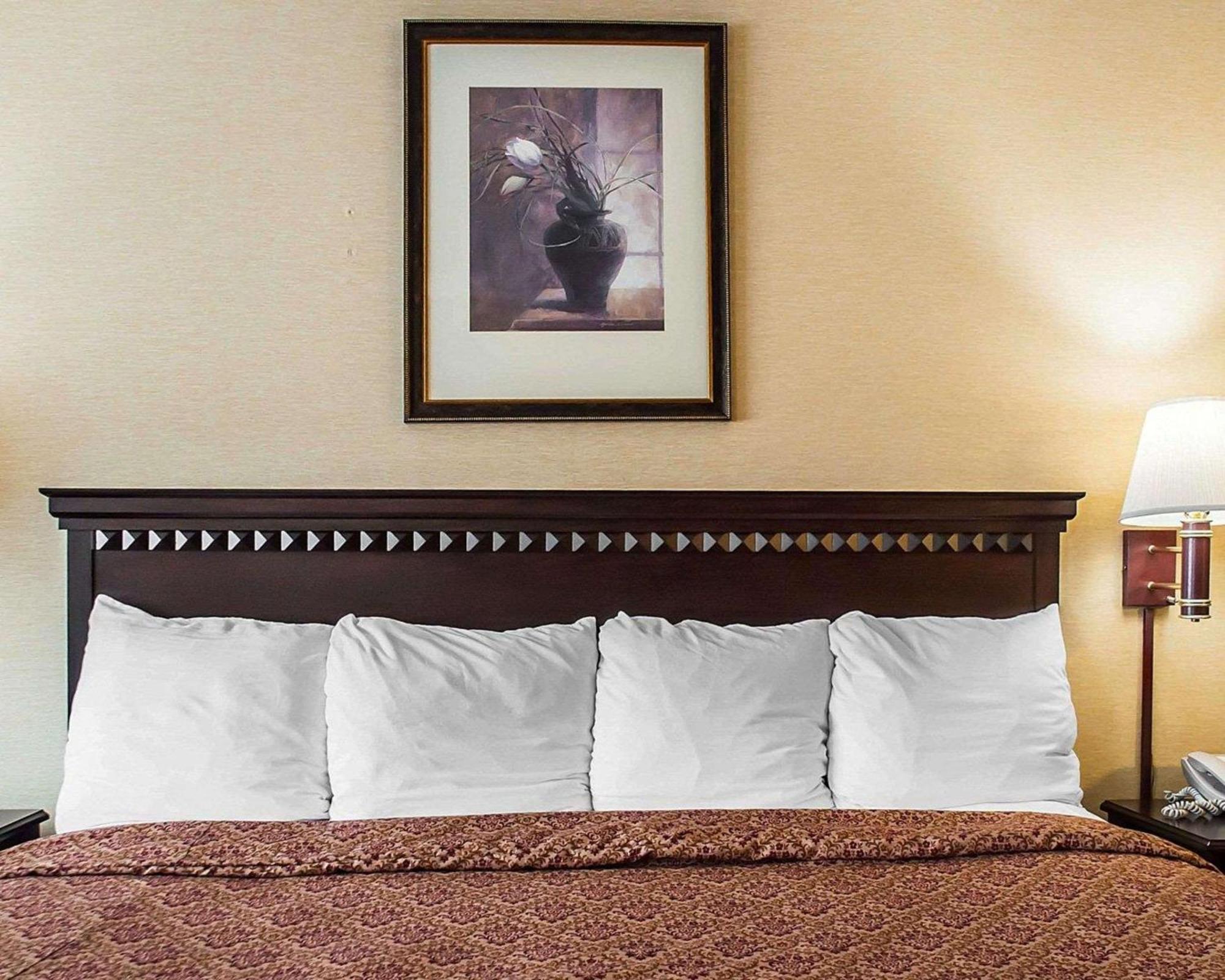 Econo Lodge Elmira-Corning Fisherville Ngoại thất bức ảnh